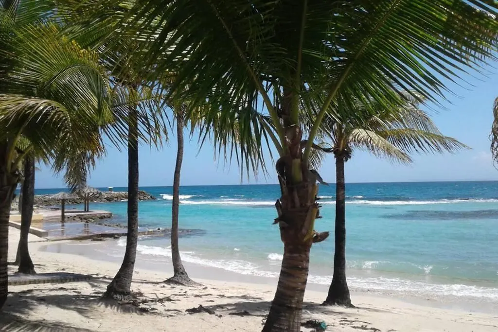 Le Loft Manganao Apartment Saint-Francois   Saint-Francois (Grande-Terre)